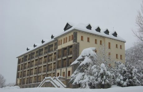 Pineta